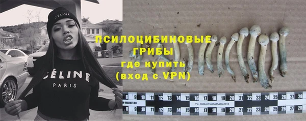 дживик Майский