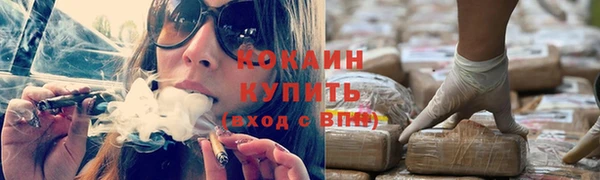 дживик Майский