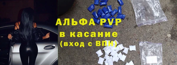дживик Майский