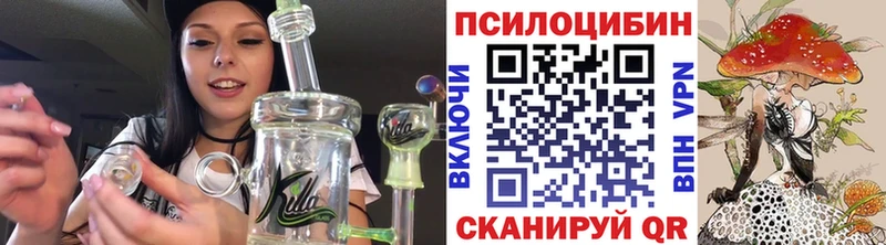 Купить закладки  Кола  Псилоцибиновые грибы Cubensis 