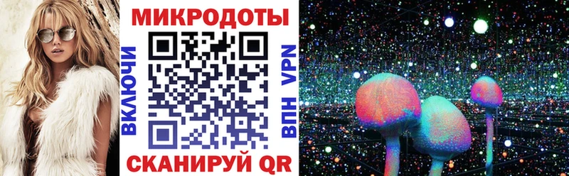 Галлюциногенные грибы Psilocybe Кола